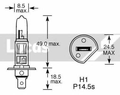LUCAS ELECTRICAL LLB448 Bulb, headlight